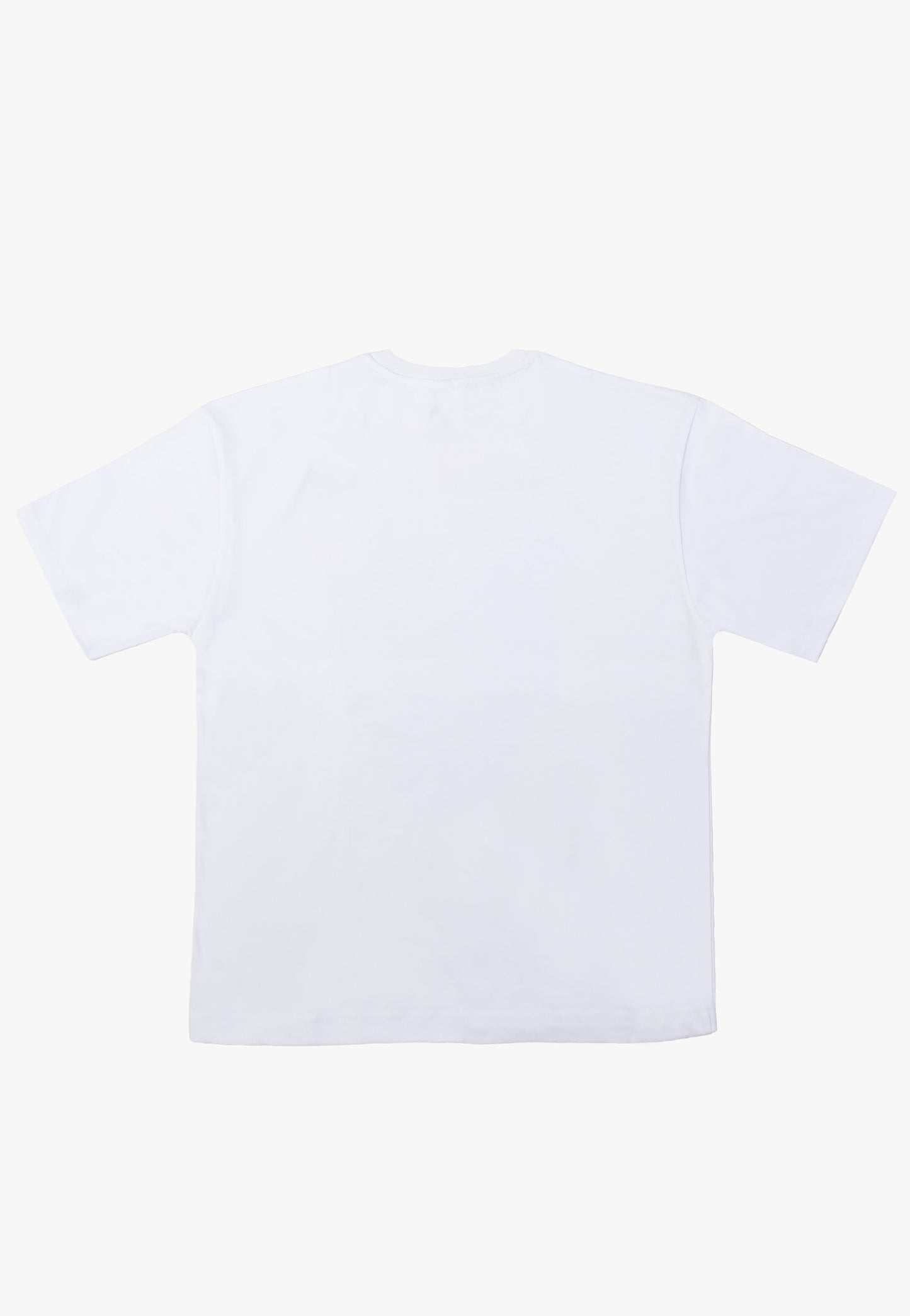 Ski Aggu - World Tour Glitter White - T-Shirt | Men-Image